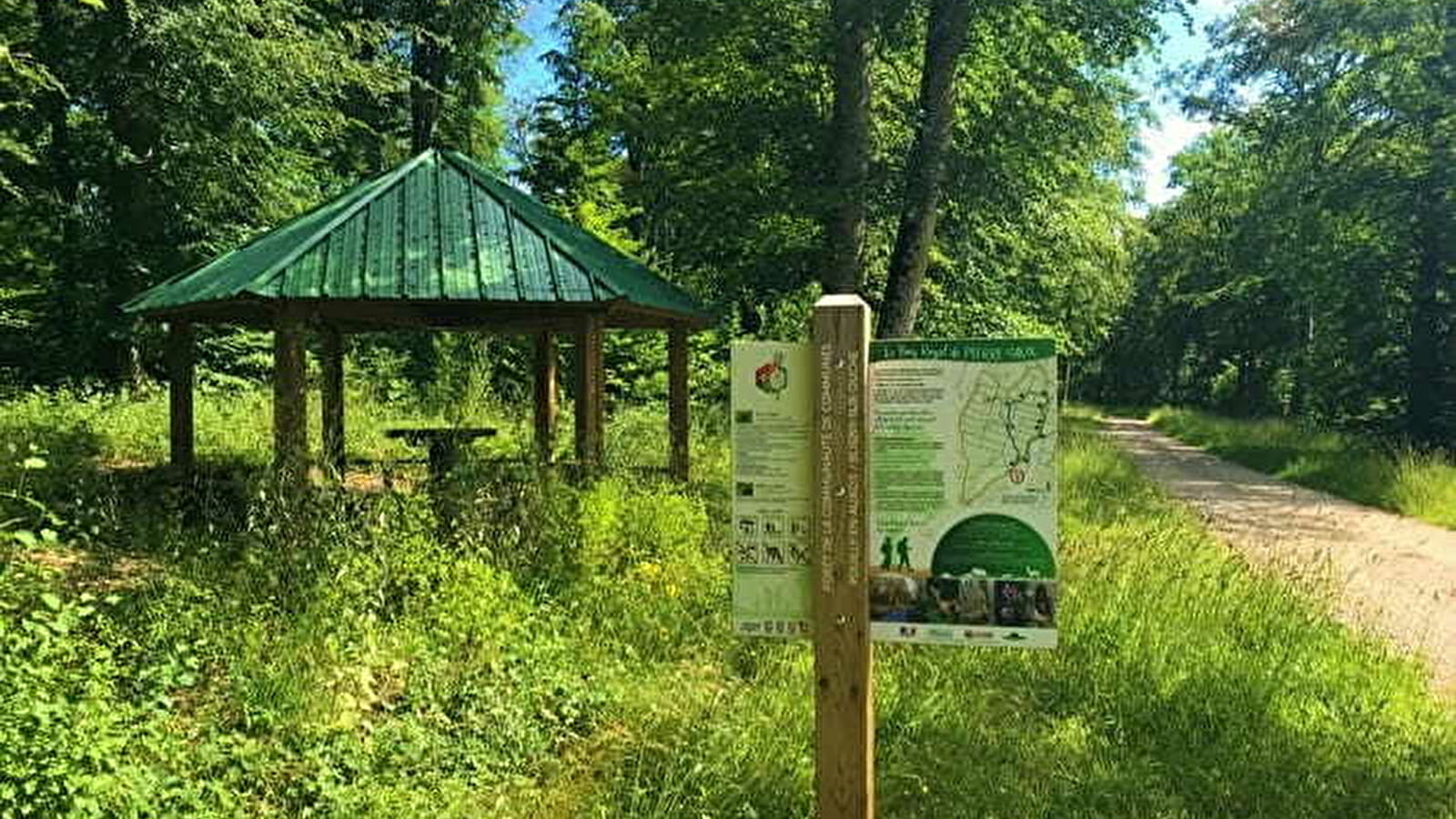 Forêt aménagée - Le Bois Royal de Pierre Saux